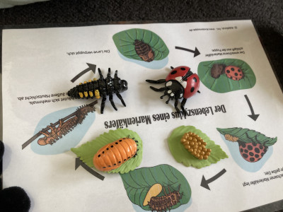 Bildkarte mit 3D Objekten