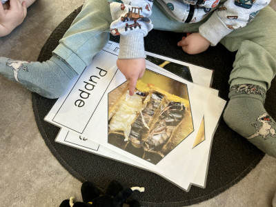 Bildkarten zum Thema