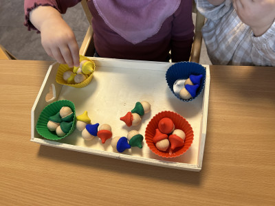 Eicheln nach Farben sortieren