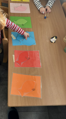 Fische nach Farben sortieren